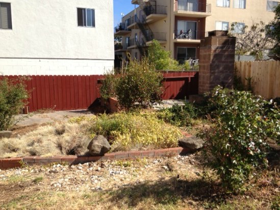 Before- Neglected Garden