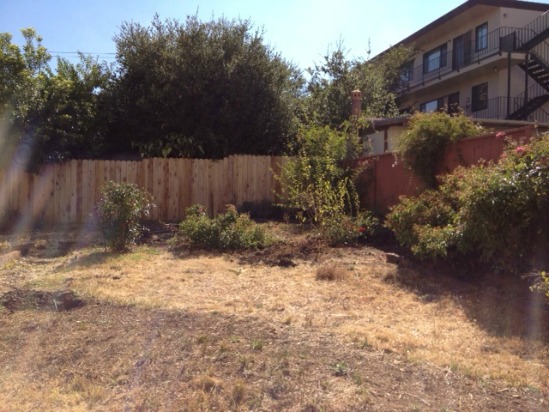 Before- Neglected Yard