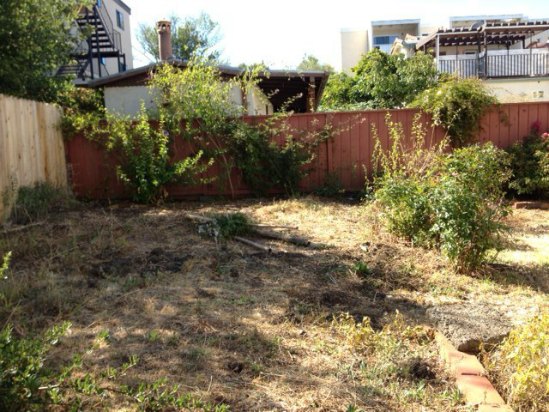 Before- Neglected Yard