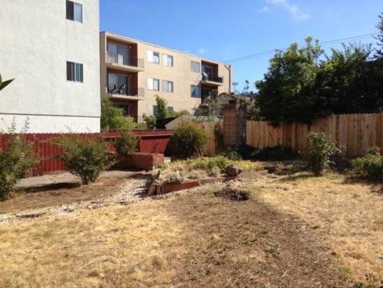 Before- Neglected Yard