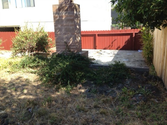 Before- Unused Outdoor Fireplace