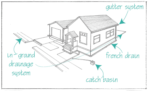 Comprehensive Drainage Diagram