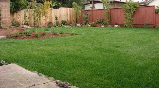 After- Verdant Lawn