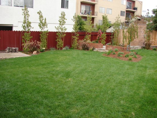 After- Renovated Garden