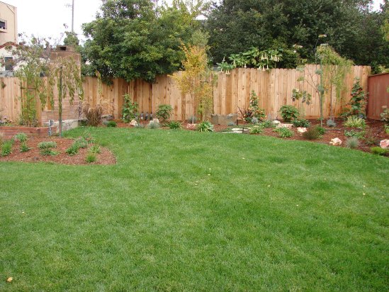 After- New Lawn