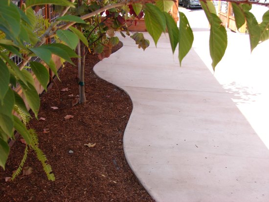 Curved Patio Edge 