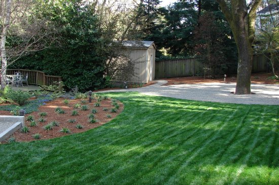 Custom Garden Shed and Lawn 