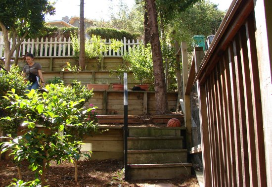 Failing Wooden Retaining Walls 