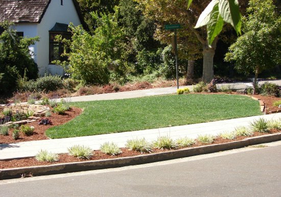 Front Yard Garden with Swath of Verdant Lawn 