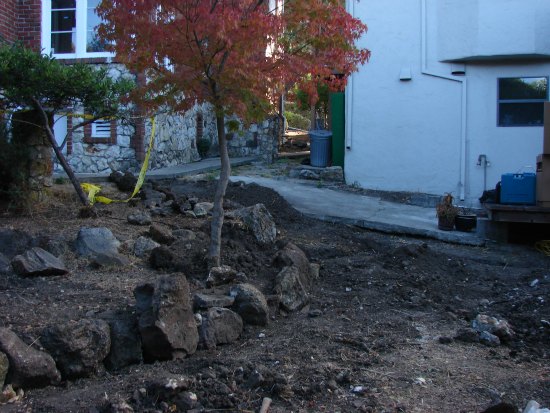 Neglected Backyard Space 