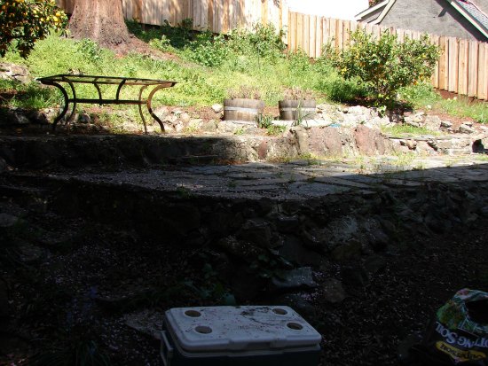 Overgrown Backyard Hillside 