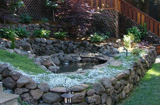 Pond Water Feature 