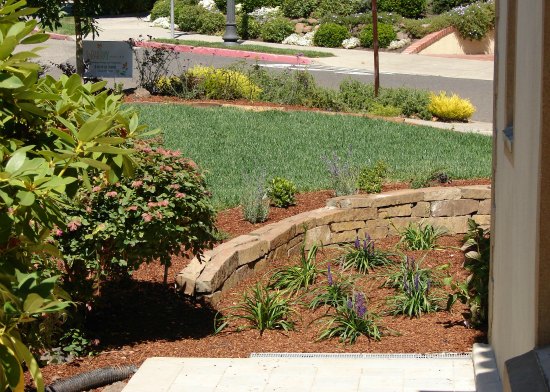 Regraded Front Yard Garden 