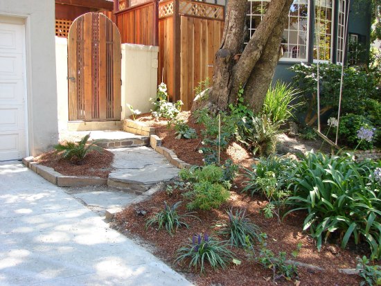 Side Yard Garden Planting and Garden Gate 