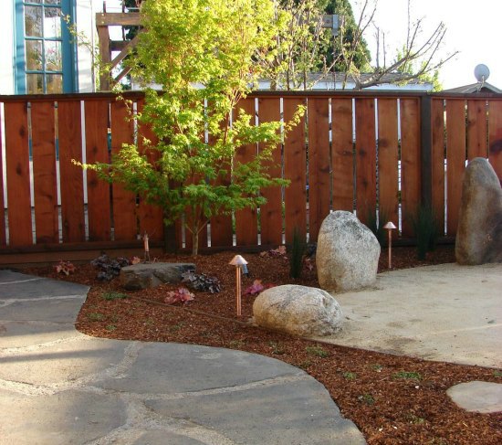 Stone Patio and Sango Kaku Japanese Maple 