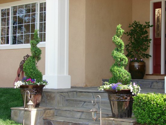 Topiary in Ceramic Planters at Entry 