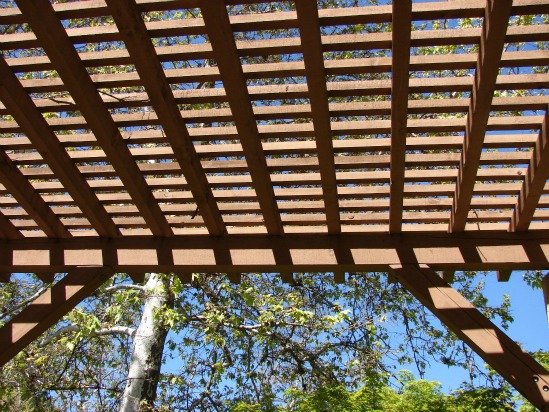 Wooden Trellis