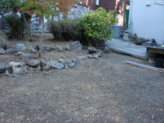 Undeveloped Backyard Space 