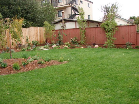 After- Verdant Lawn After- Verdant Lawn