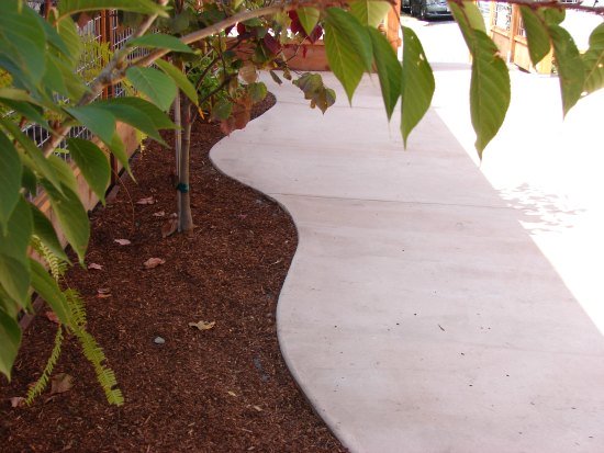 Curved Concrete Patio