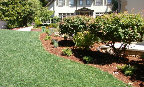 Landscaped Lawn