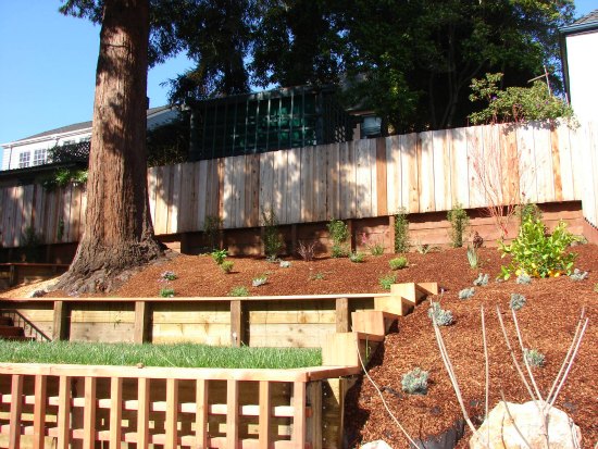 Terraced Backyard Hillside 