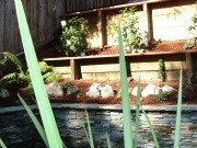 Terraced Garden 