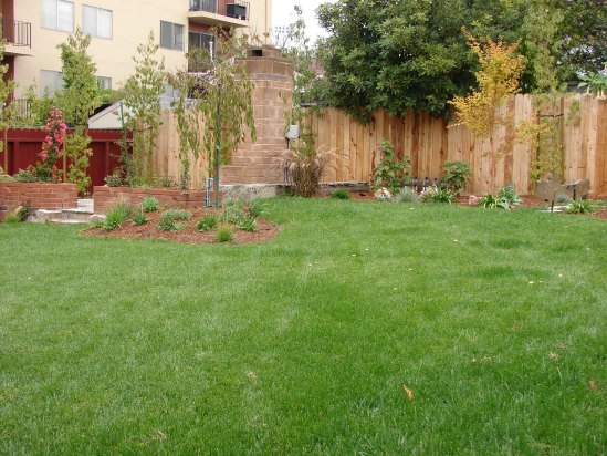 After- Verdant Lawn After- Verdant Lawn