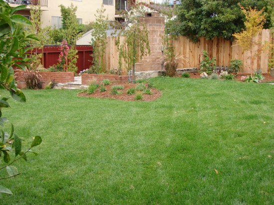 After- Renovated Garden After- Renovated Garden