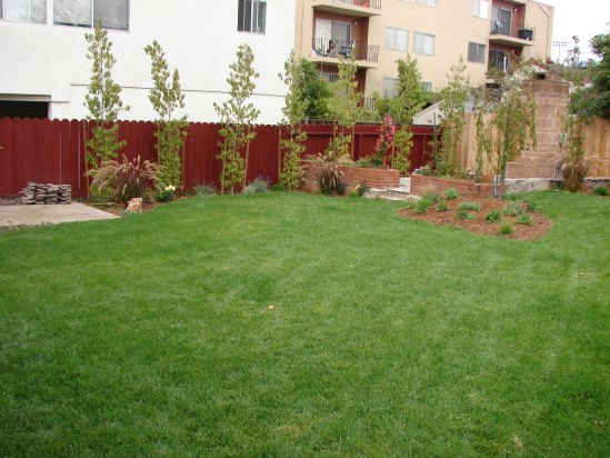 After- Renovated Garden After- Renovated Garden