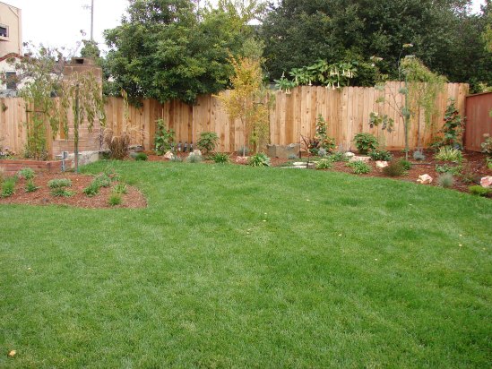 After- New Lawn After- New Lawn