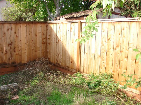 Neglected Backyard Space Neglected Backyard Space